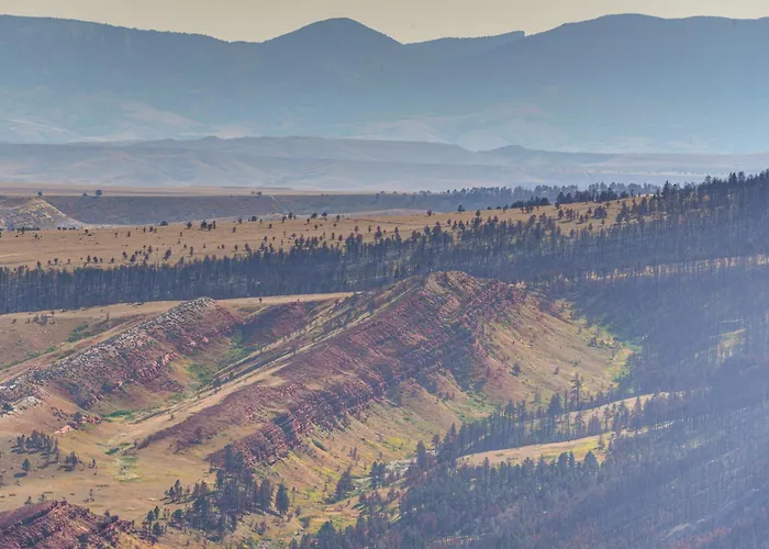 7 Mi To Bighorn Nat'l Forest: Dog-friendly *