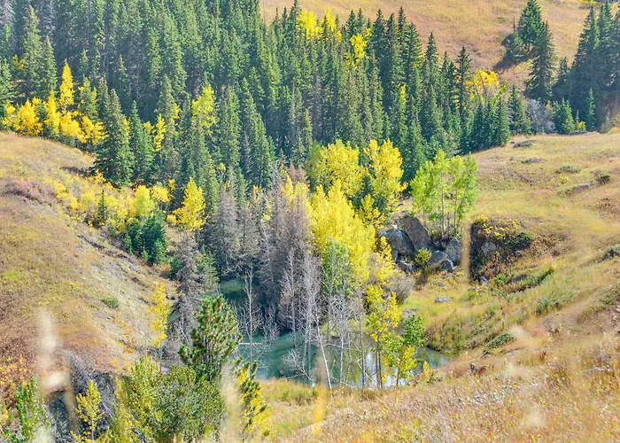 Holiday home 7 Mi To Bighorn Nat'l Forest: Dog-friendly *