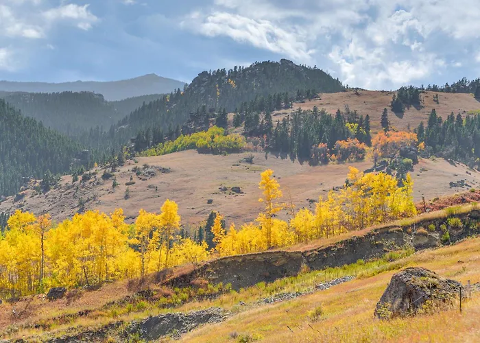 Holiday home 7 Mi To Bighorn Nat'l Forest: Dog-friendly